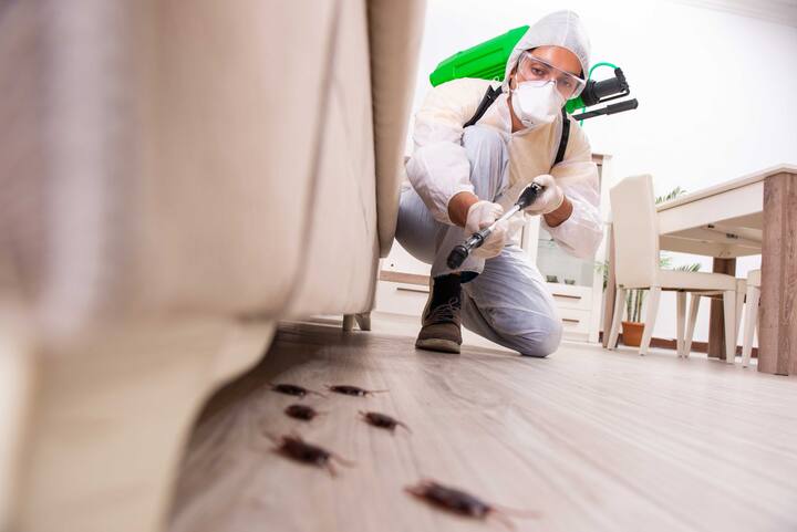 A picture of a man holding a can of pest control spray and aiming it at an unseen pest. The man appears to be indoors, possibly in a kitchen or other area where pests may be present. If you are dealing with a pest infestation in Brunswick, GA, consider contacting a professional pest control company in the area for assistance.